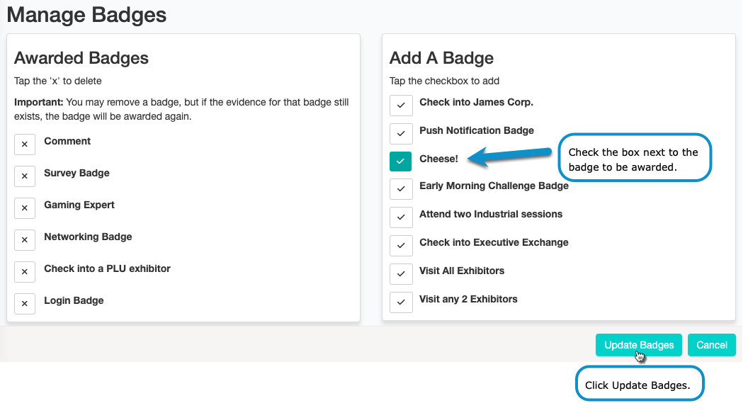 Manage_Badge_-_Update_Badges.png